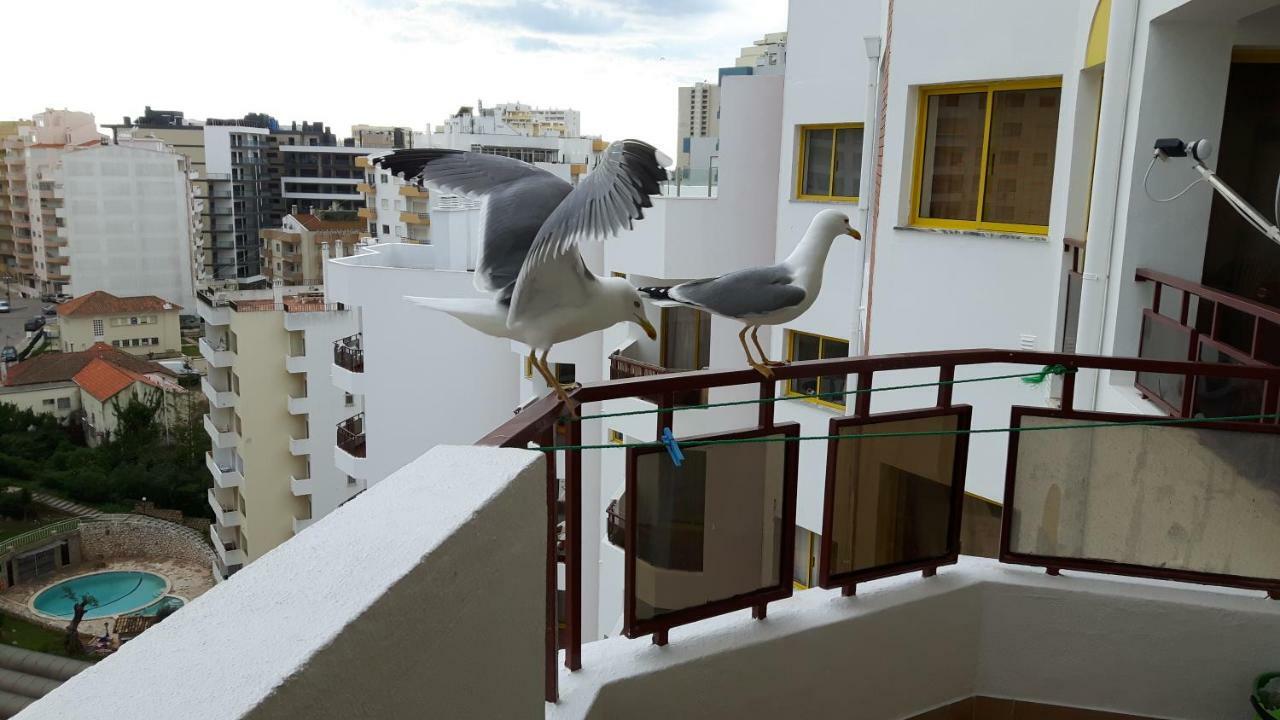 Rocha Apartment Portimão Exteriér fotografie